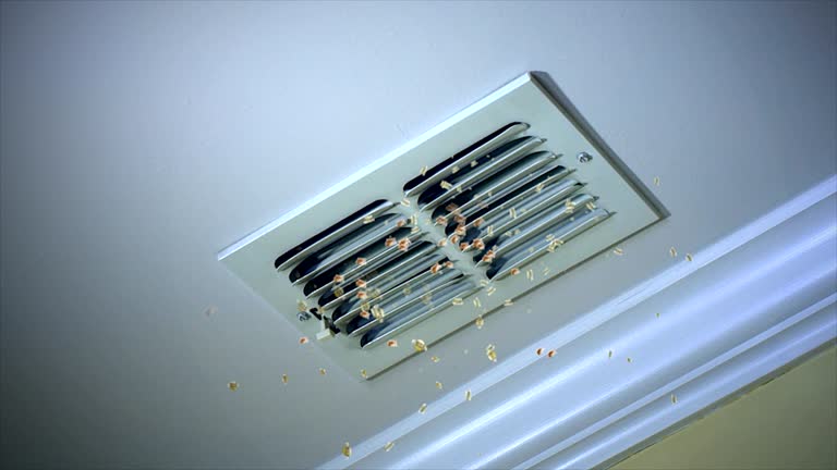 Best Duct Cleaning for Homes  in Sunland Park, NM