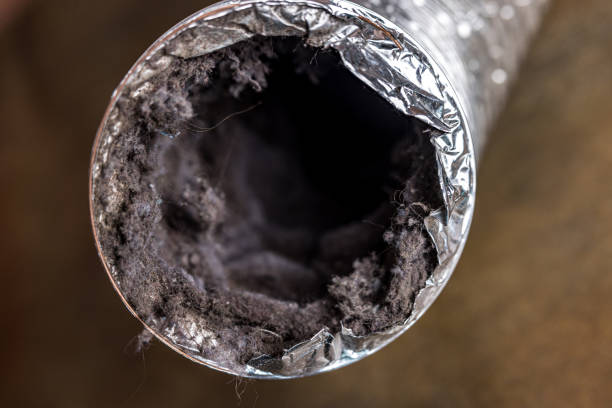 Best Professional Duct Cleaning Services  in Sunland Park, NM